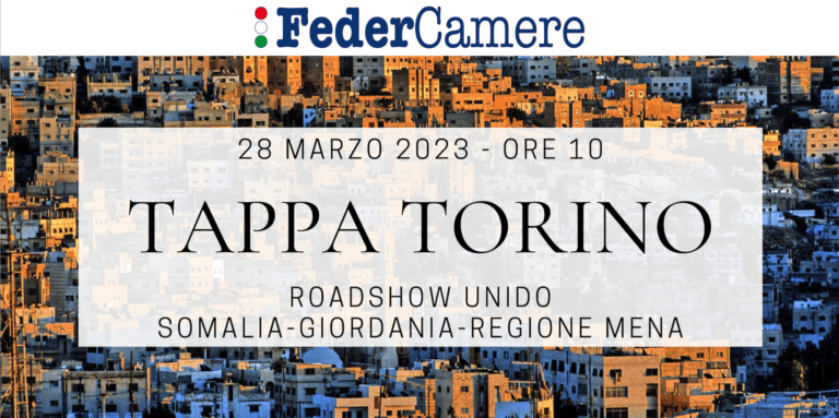 Follow up Tappa Torino Roadshow UNIDO ITPO Italy