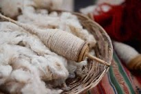 L’Australia ricerca in Italia distributori di lana